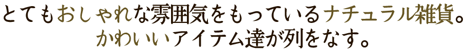 とてもおしゃれな雰囲気をもっているナチュラル雑貨。
かわいいアイテム達が列をなす。